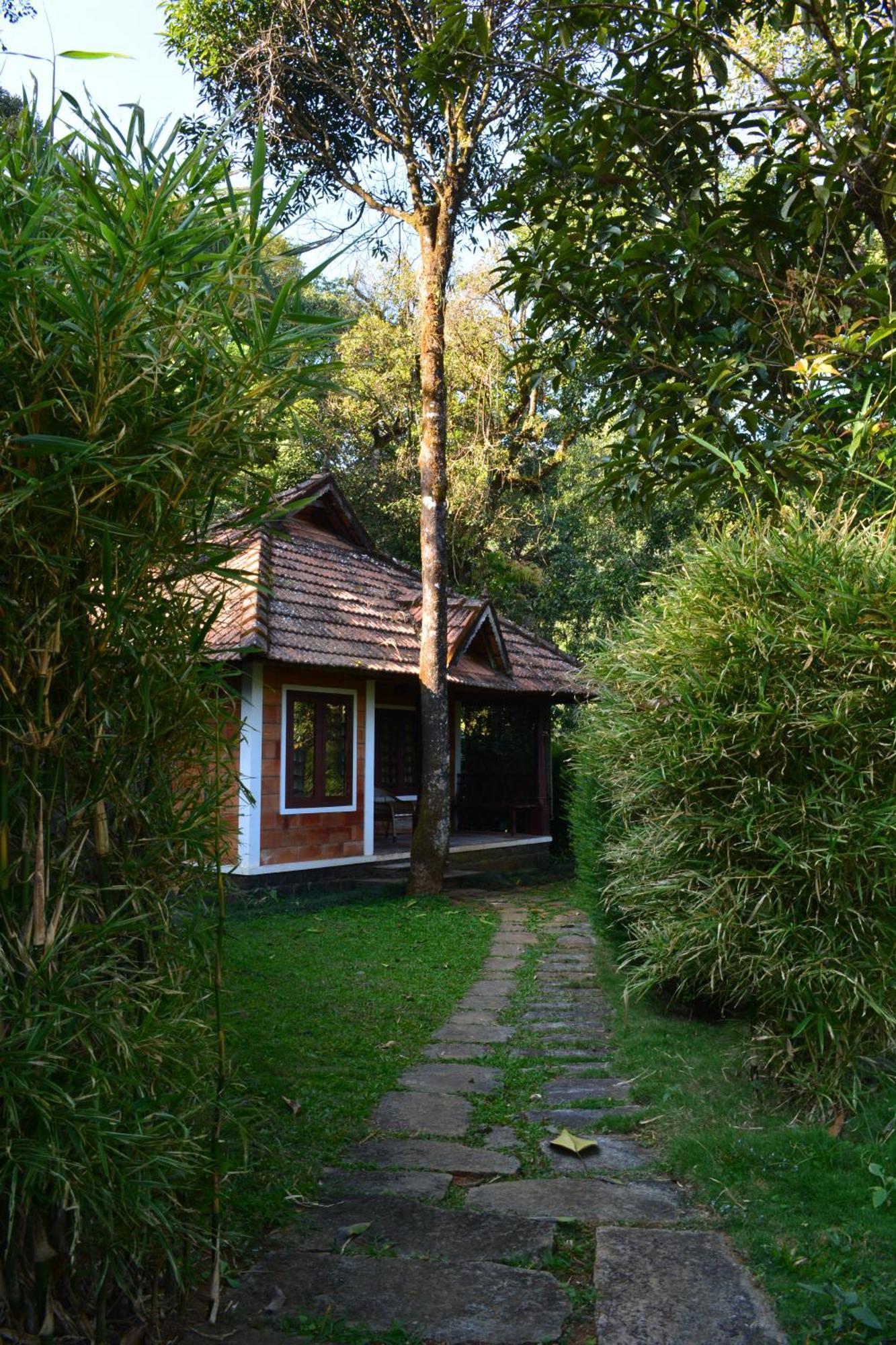 Misty Woods Resort Kakkabe Quarto foto